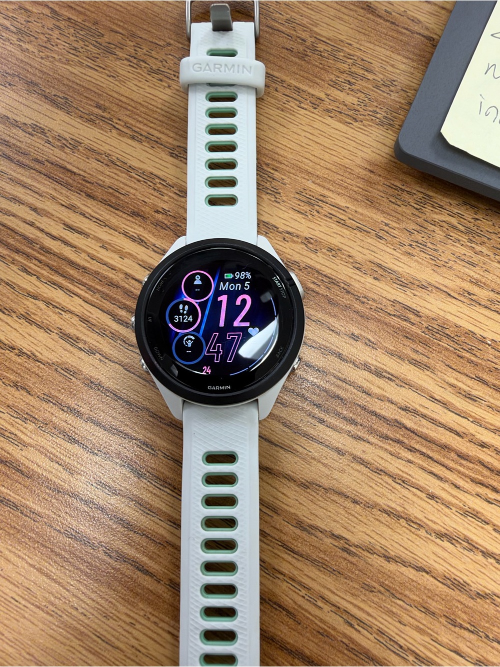 Garmin 265s